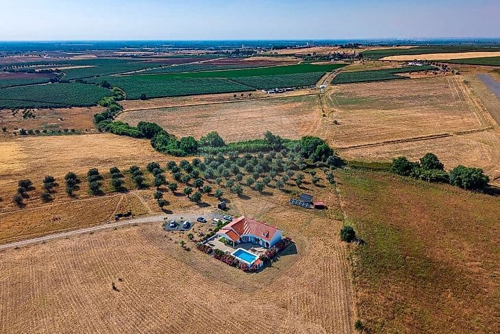 Quinta T3 à venda em Ferreira do Alentejo, foto 44