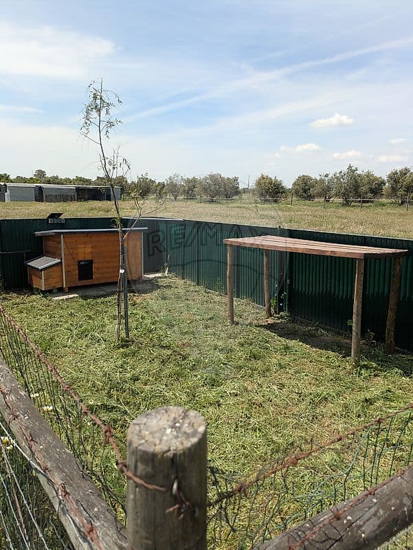 Quinta T3 à venda em Ferreira do Alentejo, foto 41